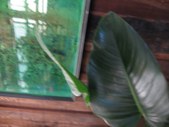 Enlarge photo 132