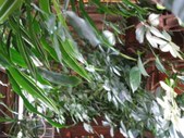 Enlarge photo 119