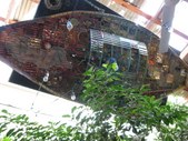 Enlarge photo 117