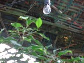 Enlarge photo 115
