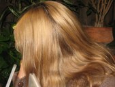 Enlarge photo 62