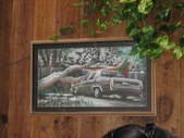 Enlarge photo 51