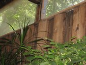Enlarge photo 50