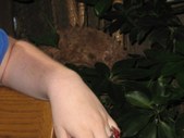 Enlarge photo 45