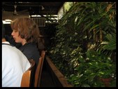 Enlarge photo 172