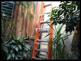 Enlarge photo 157