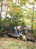 Enlarge photo 5