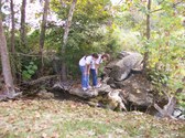 Enlarge photo 6