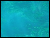 Enlarge photo 71