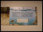 Enlarge photo 53