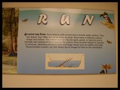 Enlarge photo 52