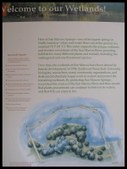Enlarge photo 43