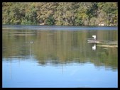 Enlarge photo 40