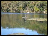 Enlarge photo 41