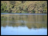 Enlarge photo 39