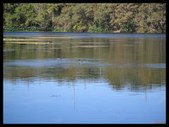 Enlarge photo 38