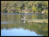 Enlarge photo 37