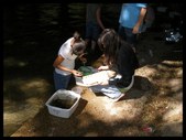 Aquarena Springs
