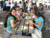 Enlarge photo 77