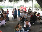 Enlarge photo 85