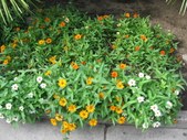 Enlarge photo 125