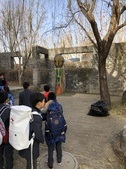 Enlarge photo 99