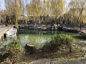 Enlarge photo 98