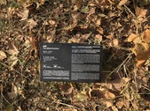 Enlarge photo 88