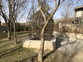 Enlarge photo 83