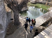 Enlarge photo 82