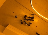 Enlarge photo 62