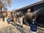 Enlarge photo 44