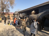 Enlarge photo 43