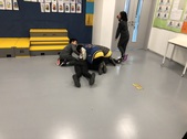 Enlarge photo 10