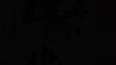 Enlarge MPEG4 13