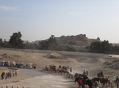 Enlarge photo 59