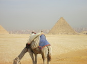 Enlarge photo 42