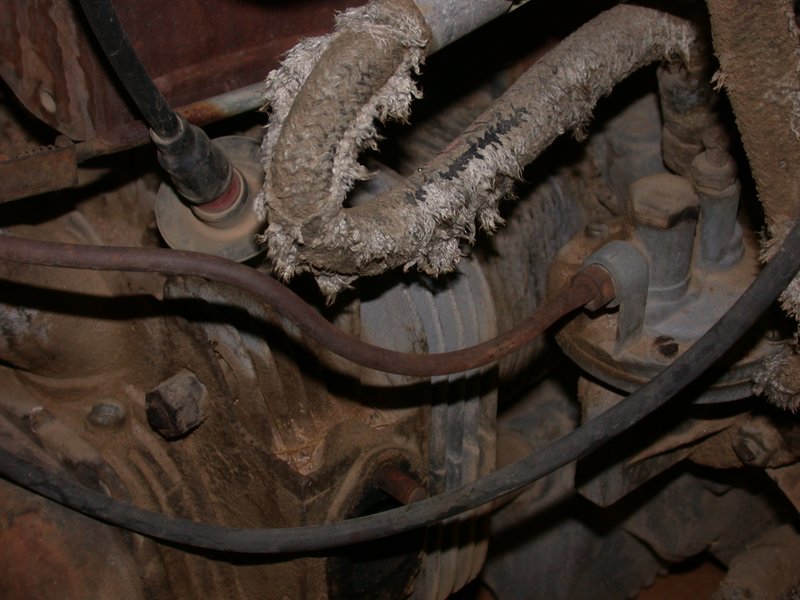 Image may have been reduced in size. Click image to view fullscreen.