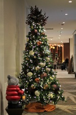 Enlarge photo 16