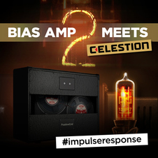 CelestionPositiveGridBIASAMP2