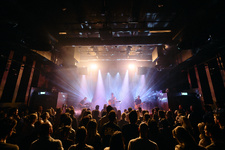 dandbPAARDNetherlands