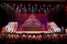 LectrosonicsClarityMediaPortlandTree