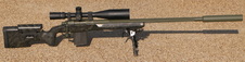 Bolt Action Rifles