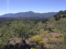 Where I Shoot