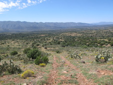 Enlarge photo 7