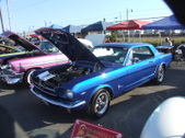 Enlarge photo 21