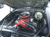 Enlarge photo 14