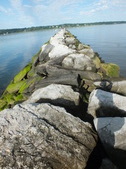 Enlarge photo 16