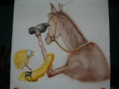 Enlarge photo 17