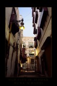 Enlarge photo 36